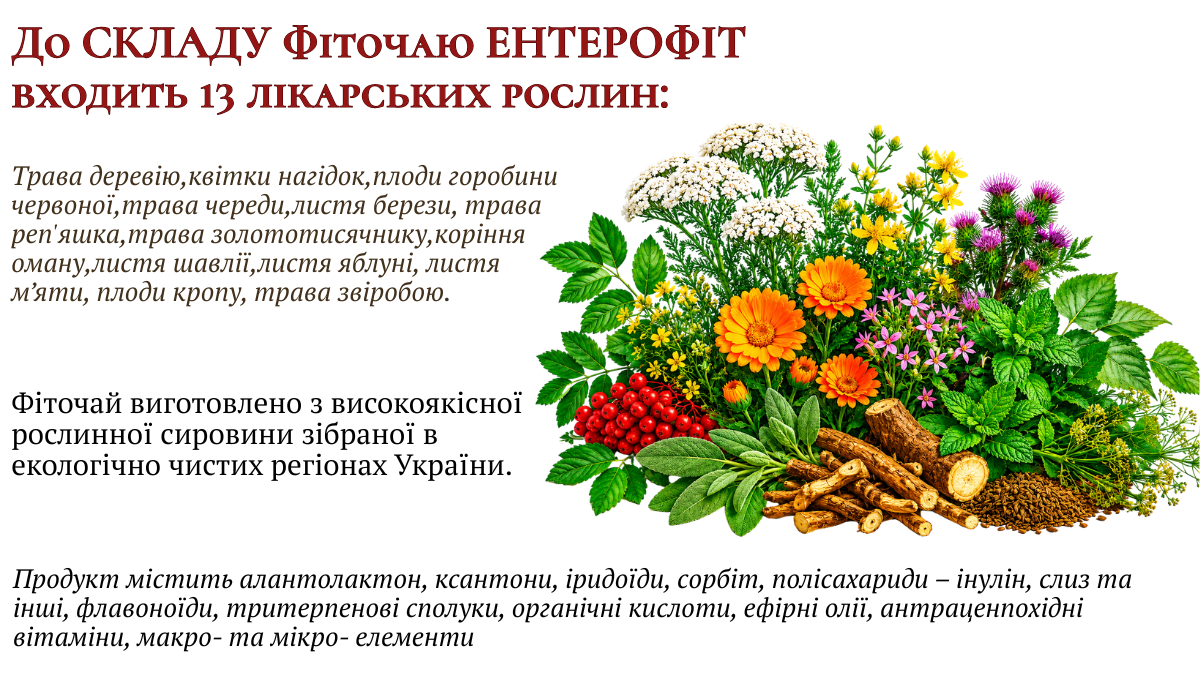 Фіточай ЕНТЕРОФІТ